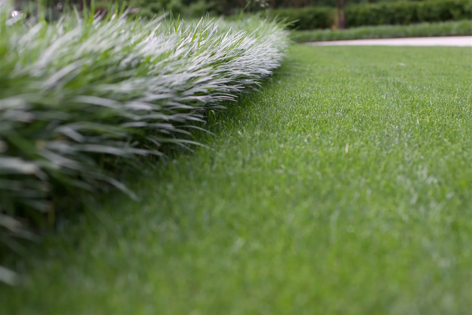 Professional landscape installation project in the DMV by Actaeon