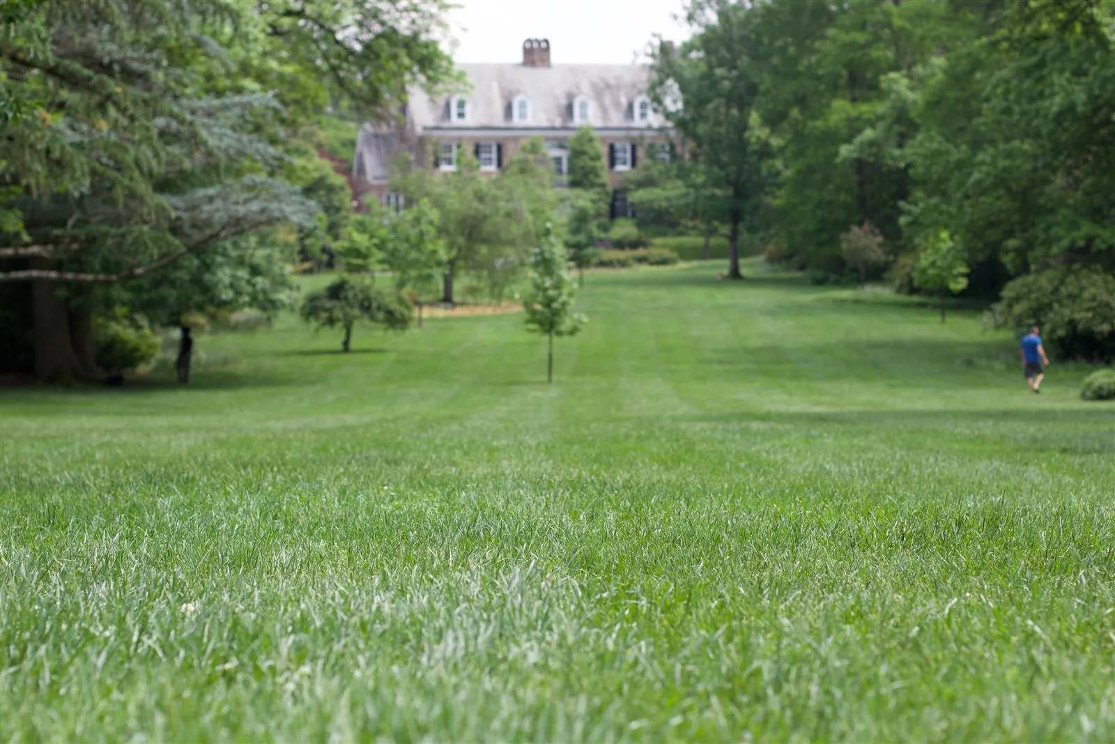 Commercial landscape maintenance and mowing by Actaeon