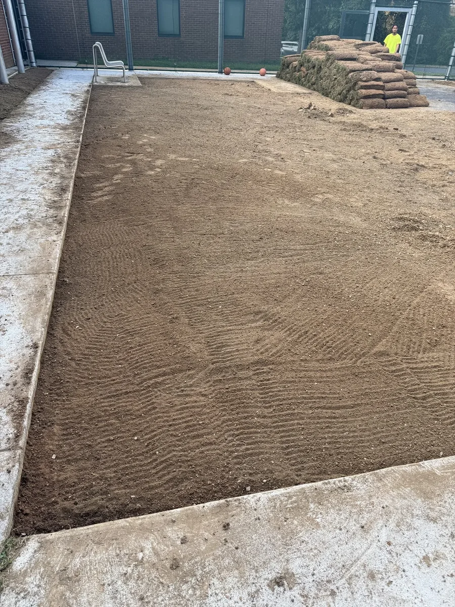 Completed residential lawn sod by Actaeon