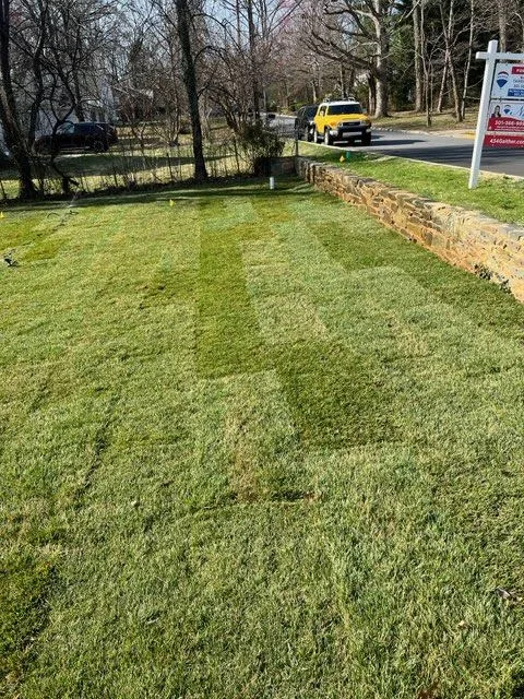 Sod installation for Maryland homeowner by Actaeon