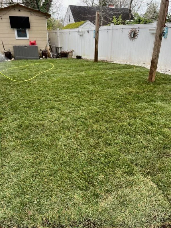 Lush sod lawn installed by Actaeon crew