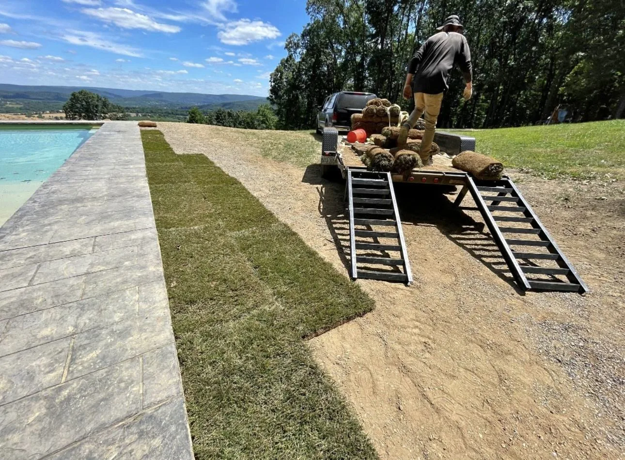 Fresh sod installation in a Maryland residential yard