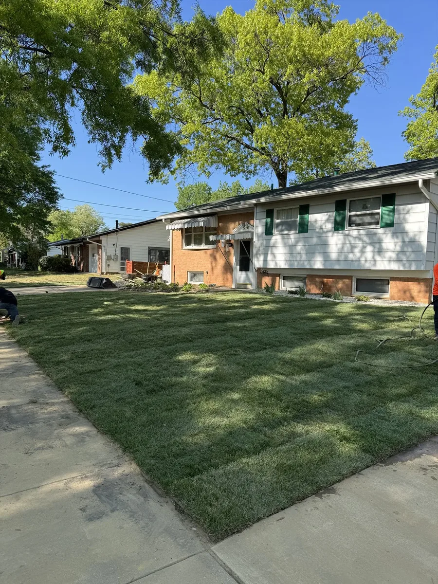 Sod installation and grading work in the DMV